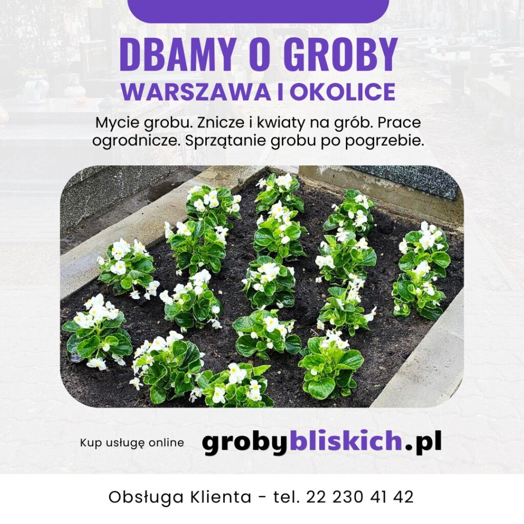 Opieka nad grobami Warszawa - mycie grobu, znicze i kwiaty na grób