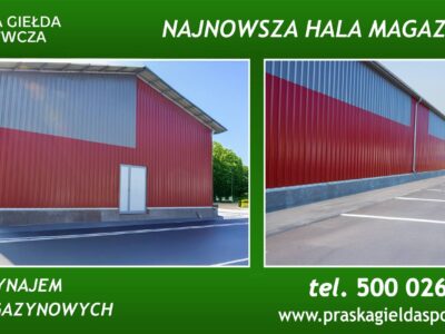 Hala/Magazyn na wynajem